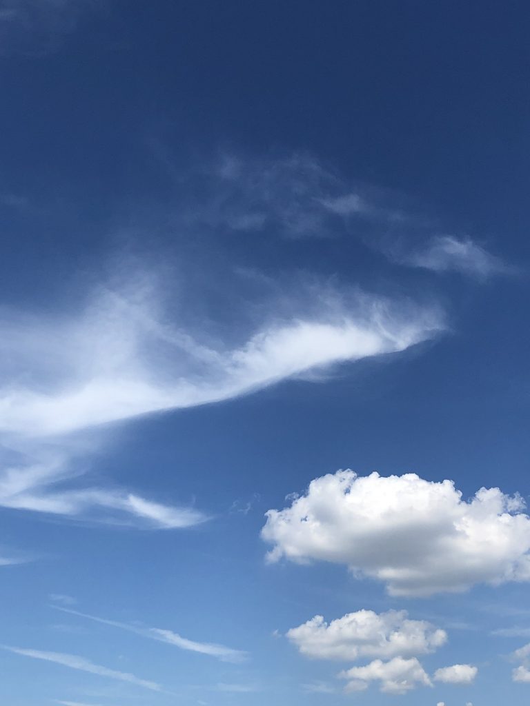 たすかけ 2020年8月の営業日について